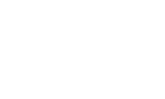 Logo_Wonder_Branca