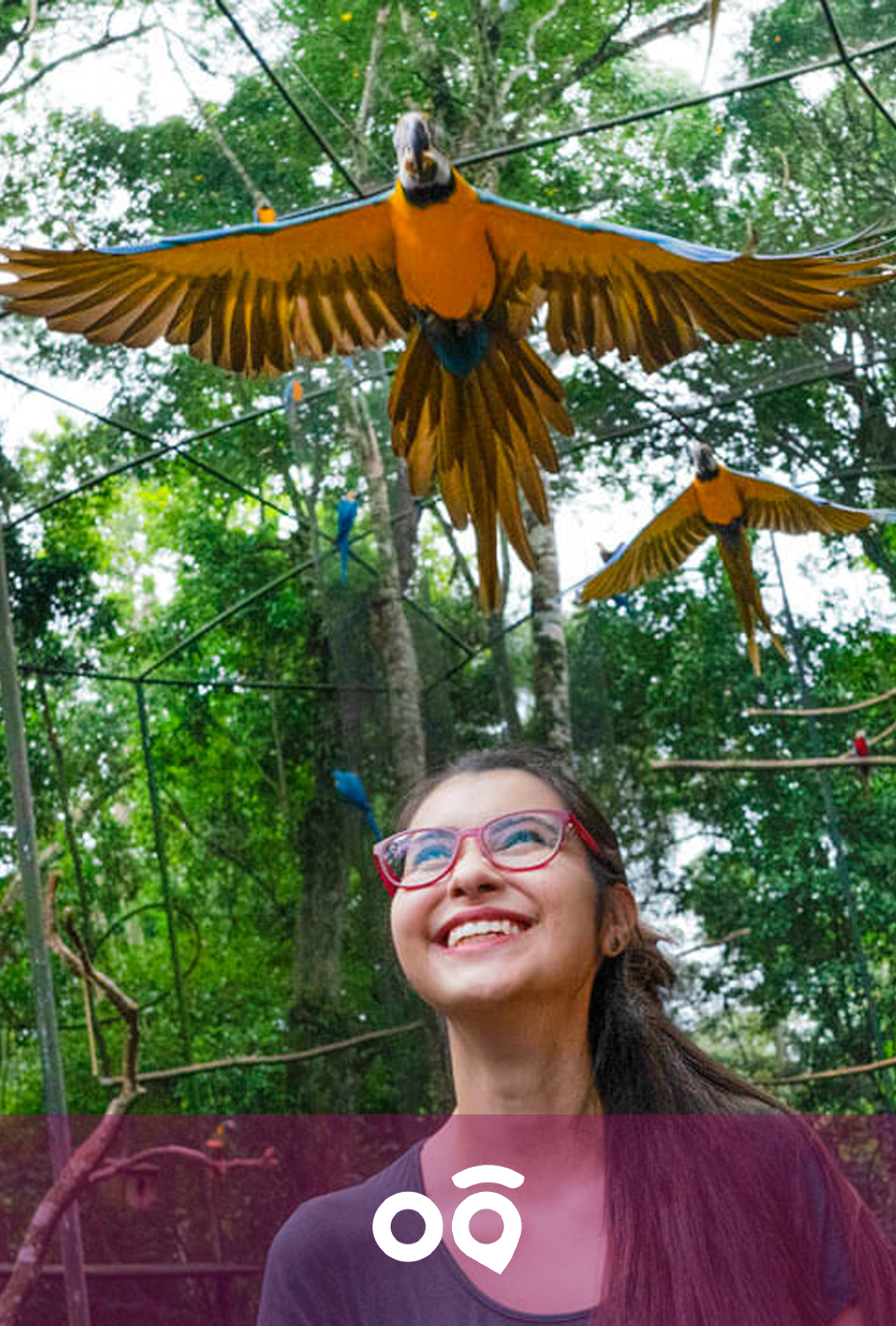 parque das aves